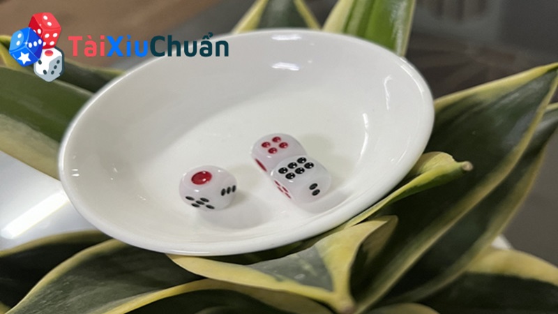 Kiểm tra các dụng cụ chơi tài xỉu